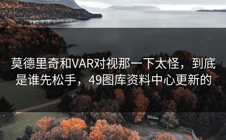 莫德里奇和VAR对视那一下太怪，到底是谁先松手，49图库资料中心更新的