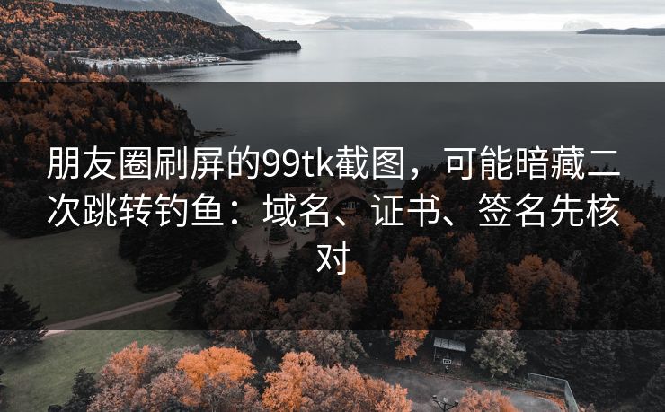朋友圈刷屏的99tk截图，可能暗藏二次跳转钓鱼：域名、证书、签名先核对
