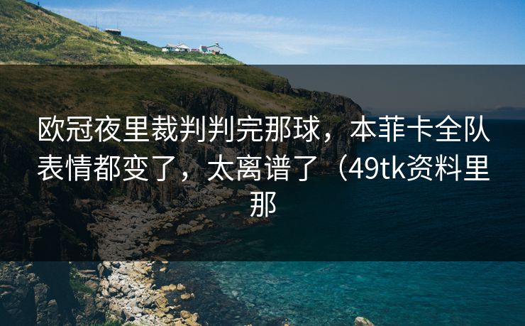 欧冠夜里裁判判完那球，本菲卡全队表情都变了，太离谱了（49tk资料里那