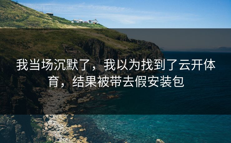 我当场沉默了，我以为找到了云开体育，结果被带去假安装包