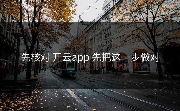 先核对 开云app 先把这一步做对